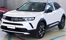 compro auto vendo auto usate brescia  