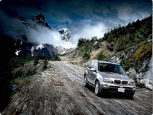 bmw x5 3.0 d auto usate