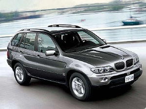 bmw x5 3.0 d auto usate